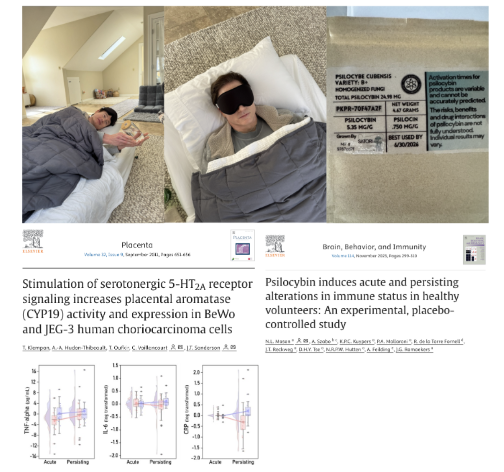 bryan_johnson's tweet image. Three exciting longevity results came back from my first dose of mushrooms: &amp;gt;35% decrease in inflammation, a deeply relaxed state and neuroprotective effects.  

Inflammation (hsCRP)
My systematic inflammation levels dropped from elite to undetectable. This decrease is…