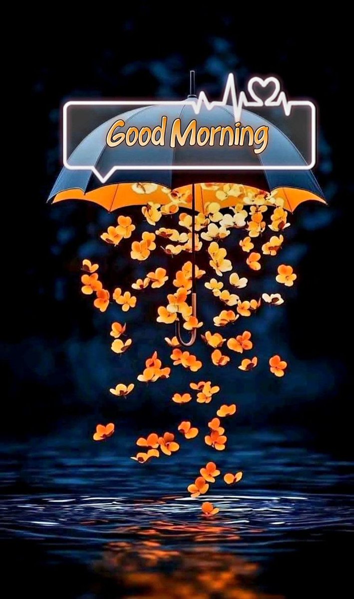 If you’re seeing this,,,,,may today bring you only good things 🙏✨