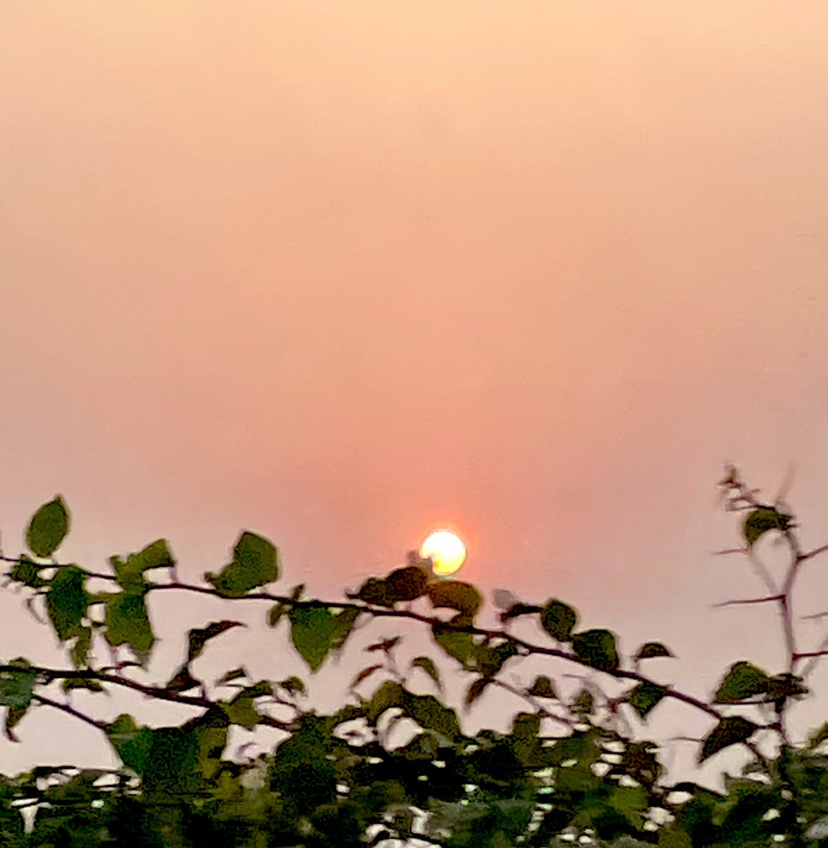 arksangel's tweet image. “The orange hues of the setting Sun” Share your orange photographs 💫 #settingsun #orangehues #photography #photographylovers #peace