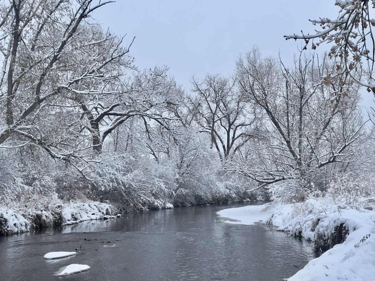 mr_visual_me's tweet photo. Welcome to snowy December in Colorado #Christmas2025 #December2025 https://t.co/sbktdx5ruS
