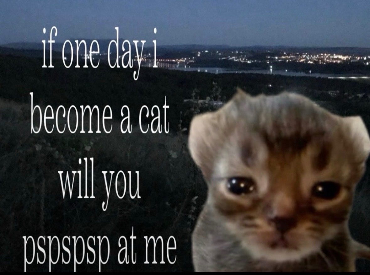 raccoon aesthetic. (@raccoonesthetic) on Twitter photo 