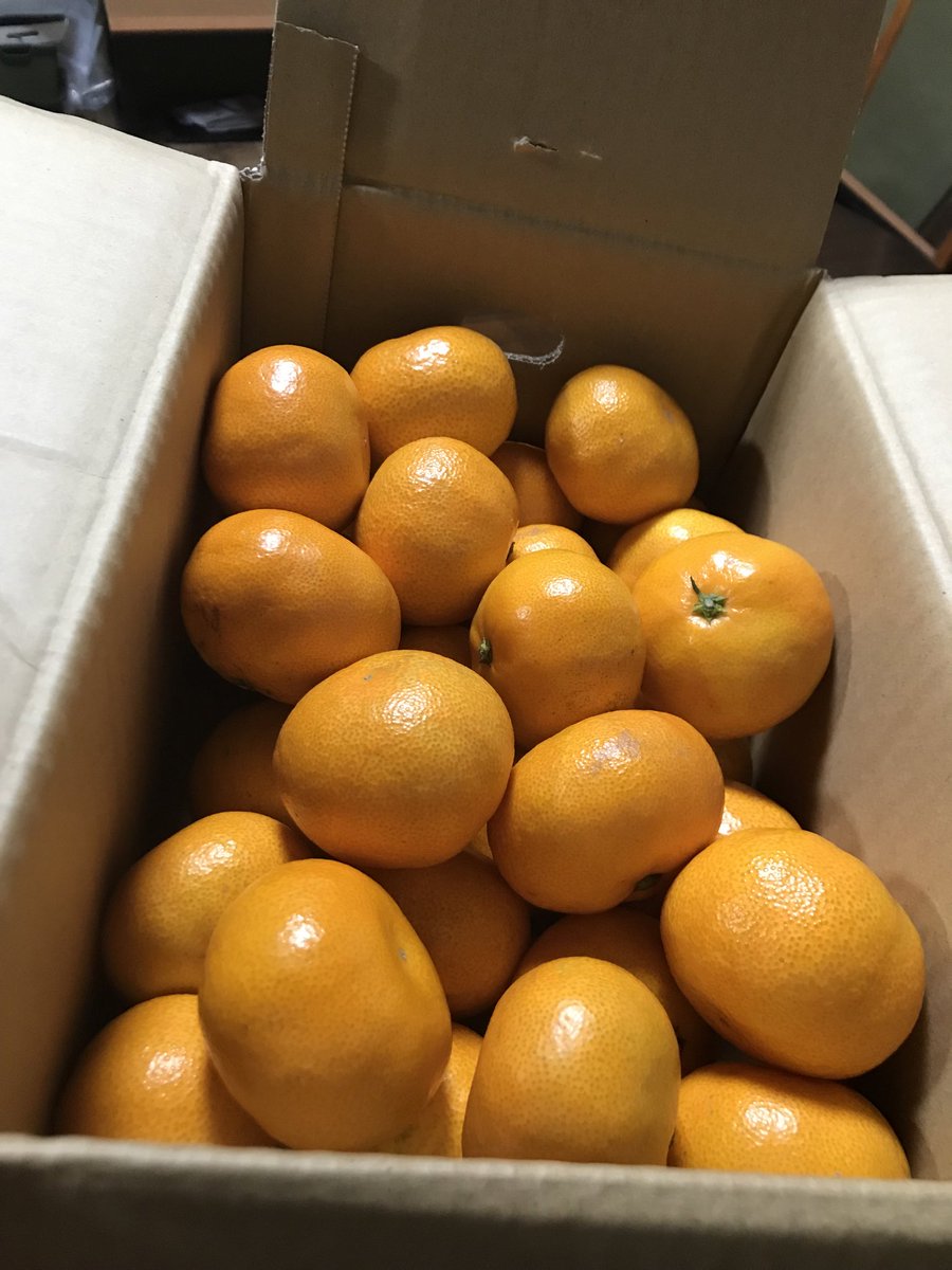 FeelingPay's tweet image. 先日、飲んだ帰りにいつもお世話になっている運転代行で帰宅したところ、みかんいただきました🍊
…箱で🤣めっちゃ嬉しい✨️