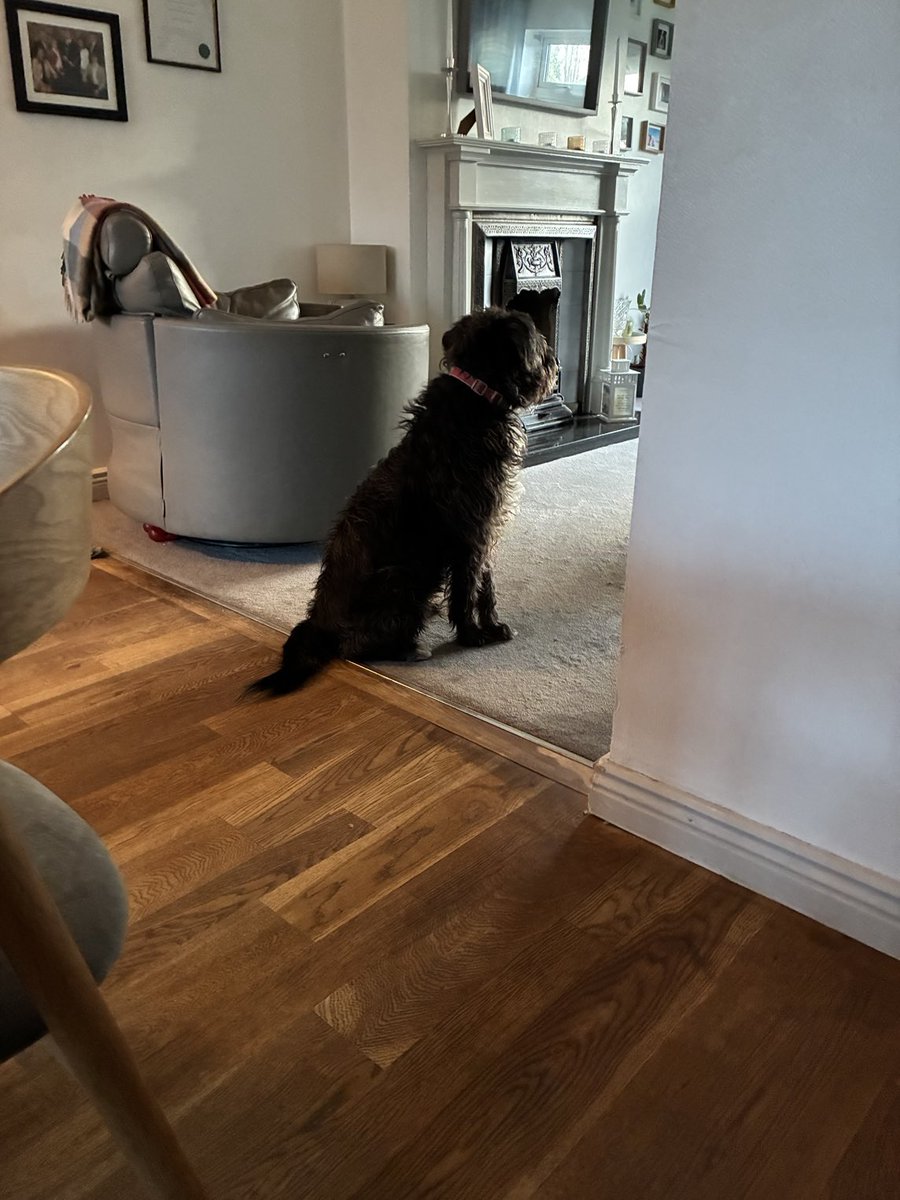 Denise Connolly Geraghty tweet media