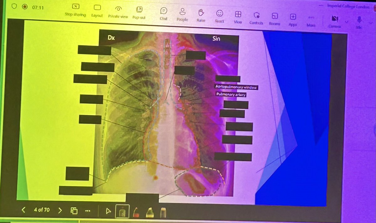 Dr Margaret Coffey tweet media