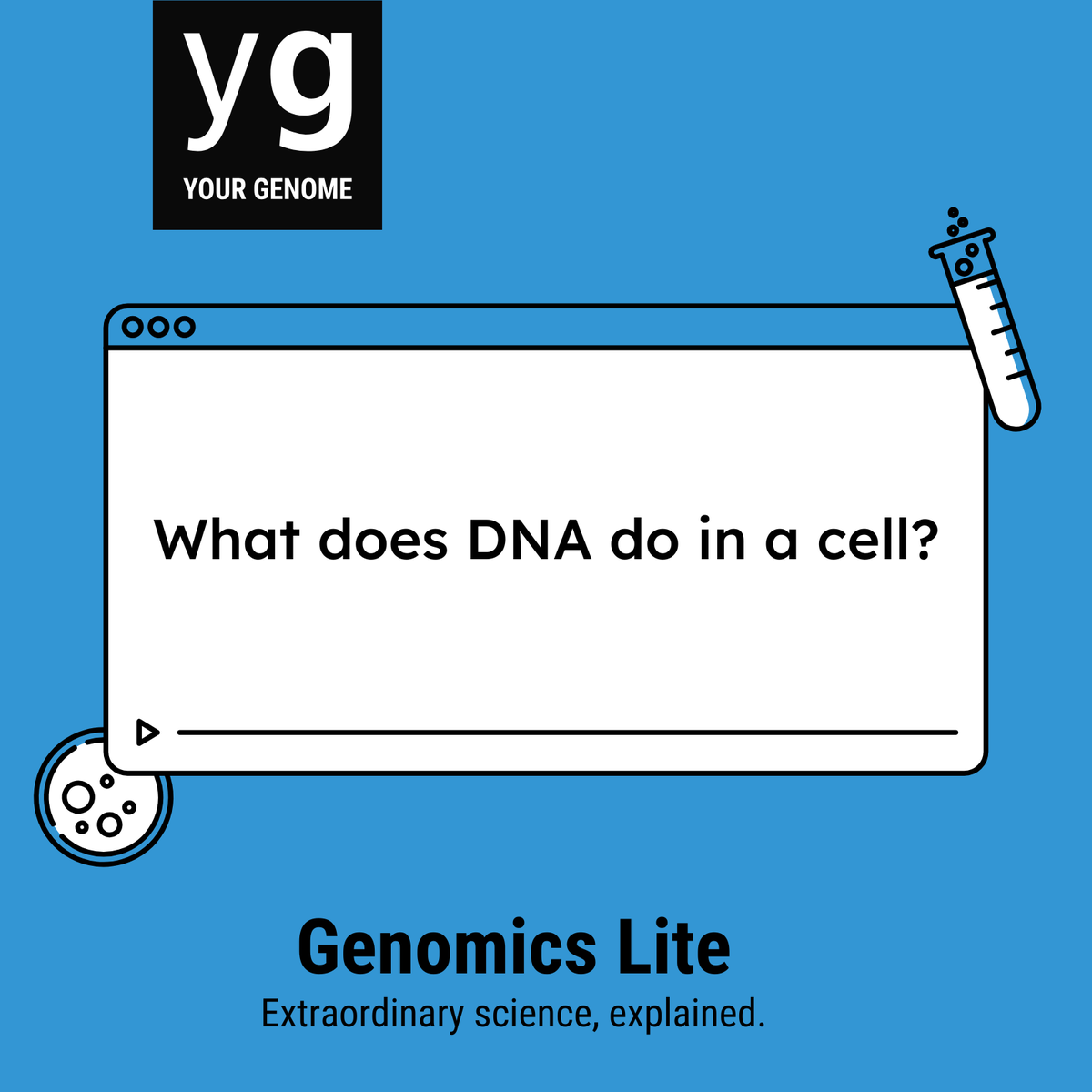 yourgenome's tweet photo. 🎯 Next #GenomicsLite: What does DNA do in a cell?

Join Kudzai Nyamondo &amp; Omar El Garwany to explore how DNA guides cell function, epigenetics, and new DNA techniques.

📅 Wed 10 Dec, 3pm GMT

🔗 Click ‘notify me’: https://t.co/txG9iwKVDx

Got questions? Drop them below!

#DNA https://t.co/0y2C4IWMQ2