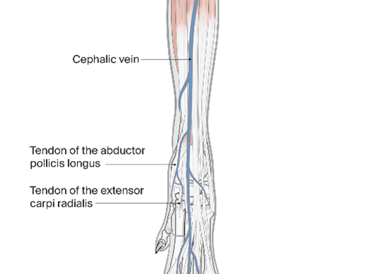 AO Surgery Reference tweet media