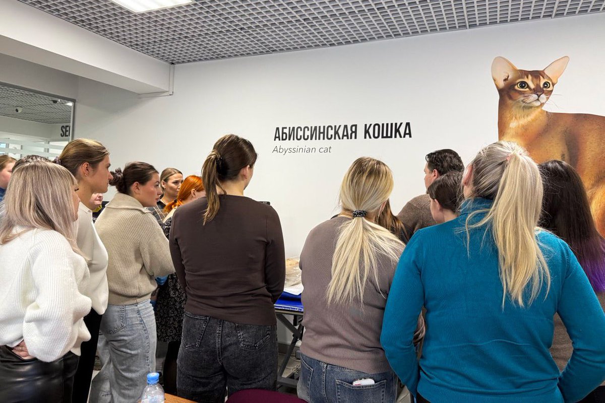 Zoncare's tweet photo. This week in #Moscow, our partner successfully held a veterinary ultrasound workshop using multiple systems from Zoncare’s VU series. We’re glad to see the #VU lineup supporting hands-on training and helping veterinarians deliver better care to animals.

#Zoncare #VetUltrasound https://t.co/Alw04ijget