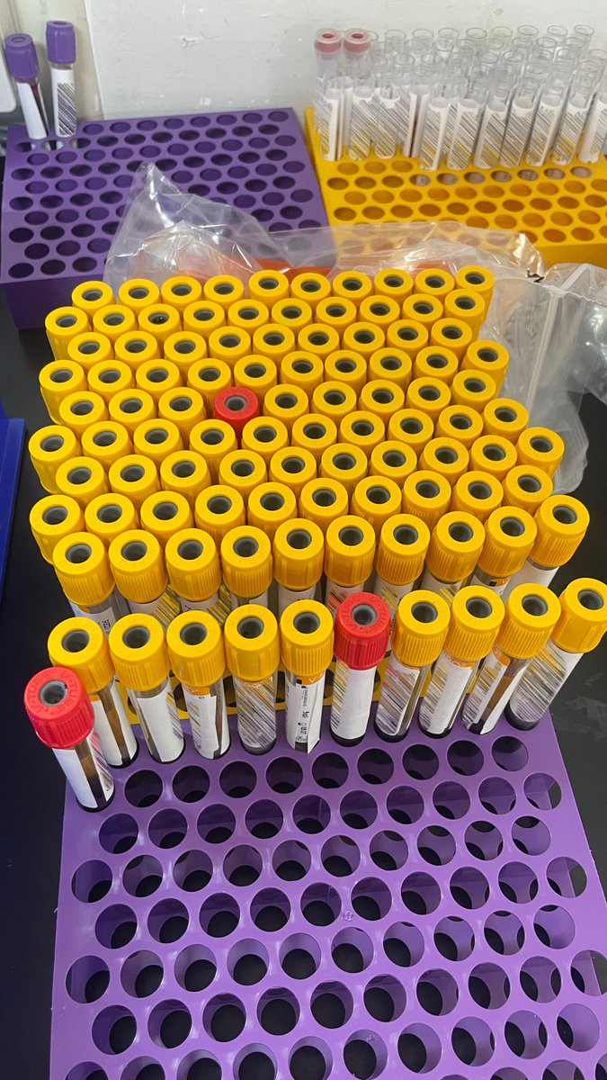 Clinical Chemistry 🧪.