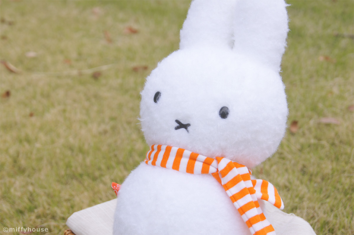 しおん (@shi_on_72) / Posts / X