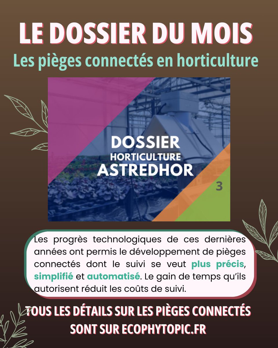 EcophytoPIC tweet media