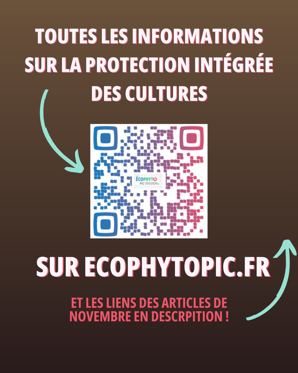 🌾Ça bouge sur EcophytoPIC !

🍂Dossier mildiou ow.ly/w1St50XA7Yz
📱 Pièges connectés en horticulture ow.ly/zzYn50XA7Yv
🐛 Les dernières fiches ABAA ow.ly/4mjJ50XA7Yy