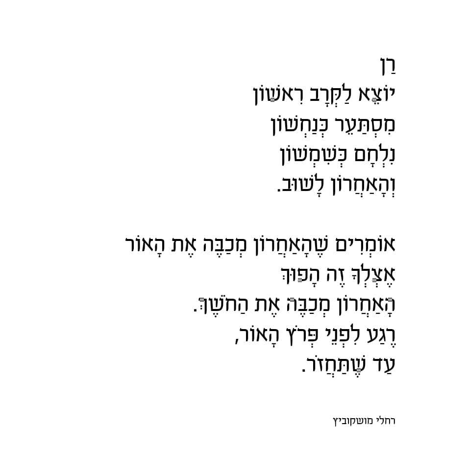 צביקה מור tweet media