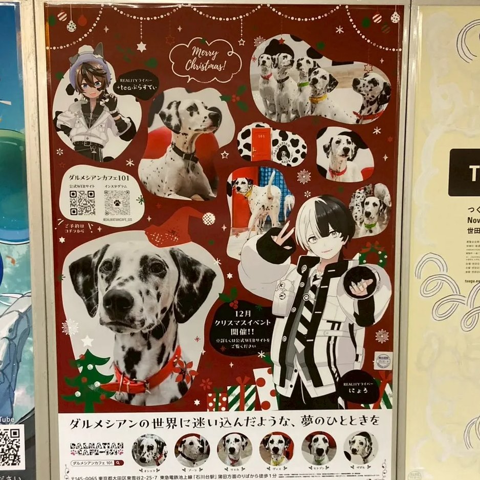 今年9月に開催したダルメシアン専門カフェ 「DALMATIAN CAFE 101」との