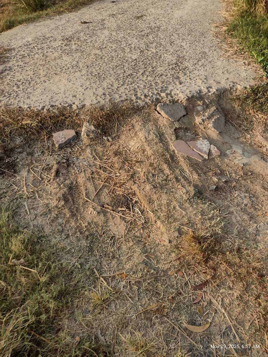 Localhost tweet media