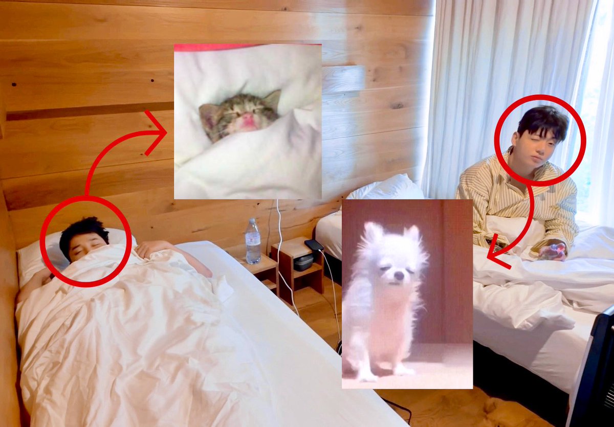 ᯓ ✈︎ (@aysfolder) on Twitter photo 