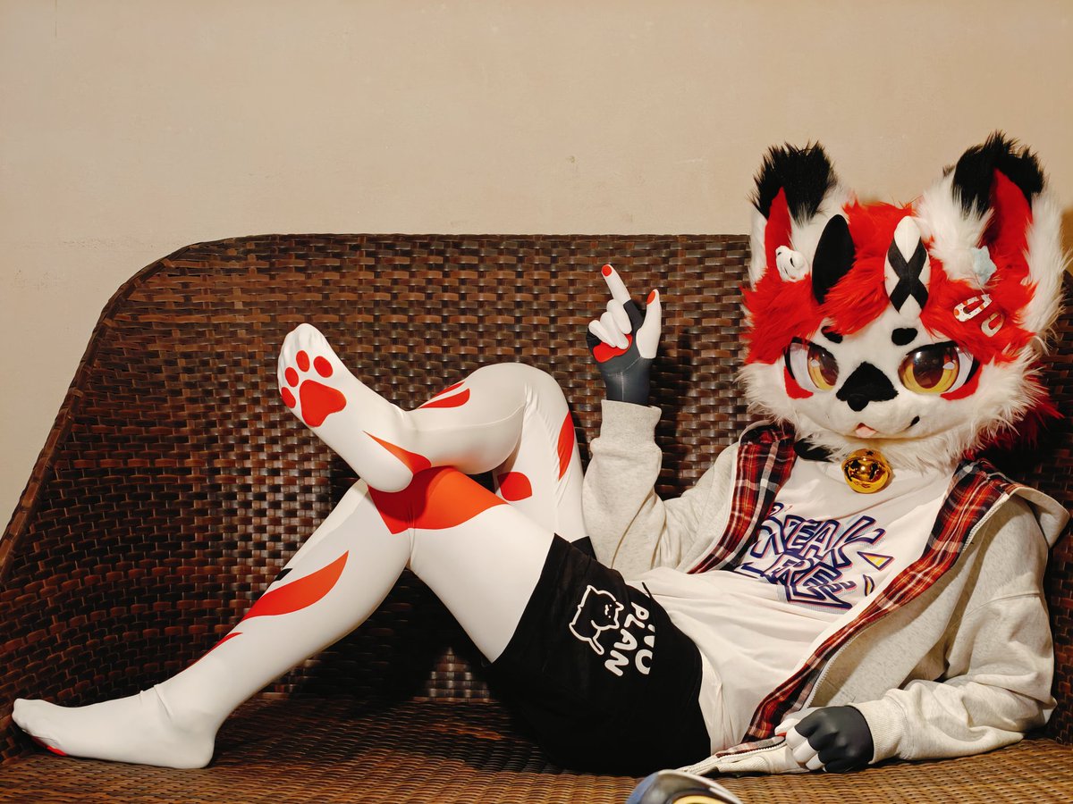 12.5-7 佛山得闲兽聚见！
欢迎贴贴~
摄影📸：赤赤