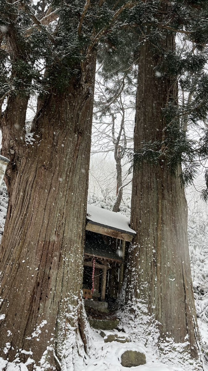 moriterra01's tweet photo. 小さな森の湯
冬も営業しています。露天風呂もご利用できます。雪が積もってると寒さもあり通常よりぬるいけど入れますよ！（勇気がいりますが笑）
＃森吉山温泉小さな森の湯＃森のテラス＃ステーキハウス森吉森のテラス#SHAREHOSTEL庭のとまり＃北秋田市＃温泉＃源泉掛け流し#露天風呂 https://t.co/oogPhiISLS