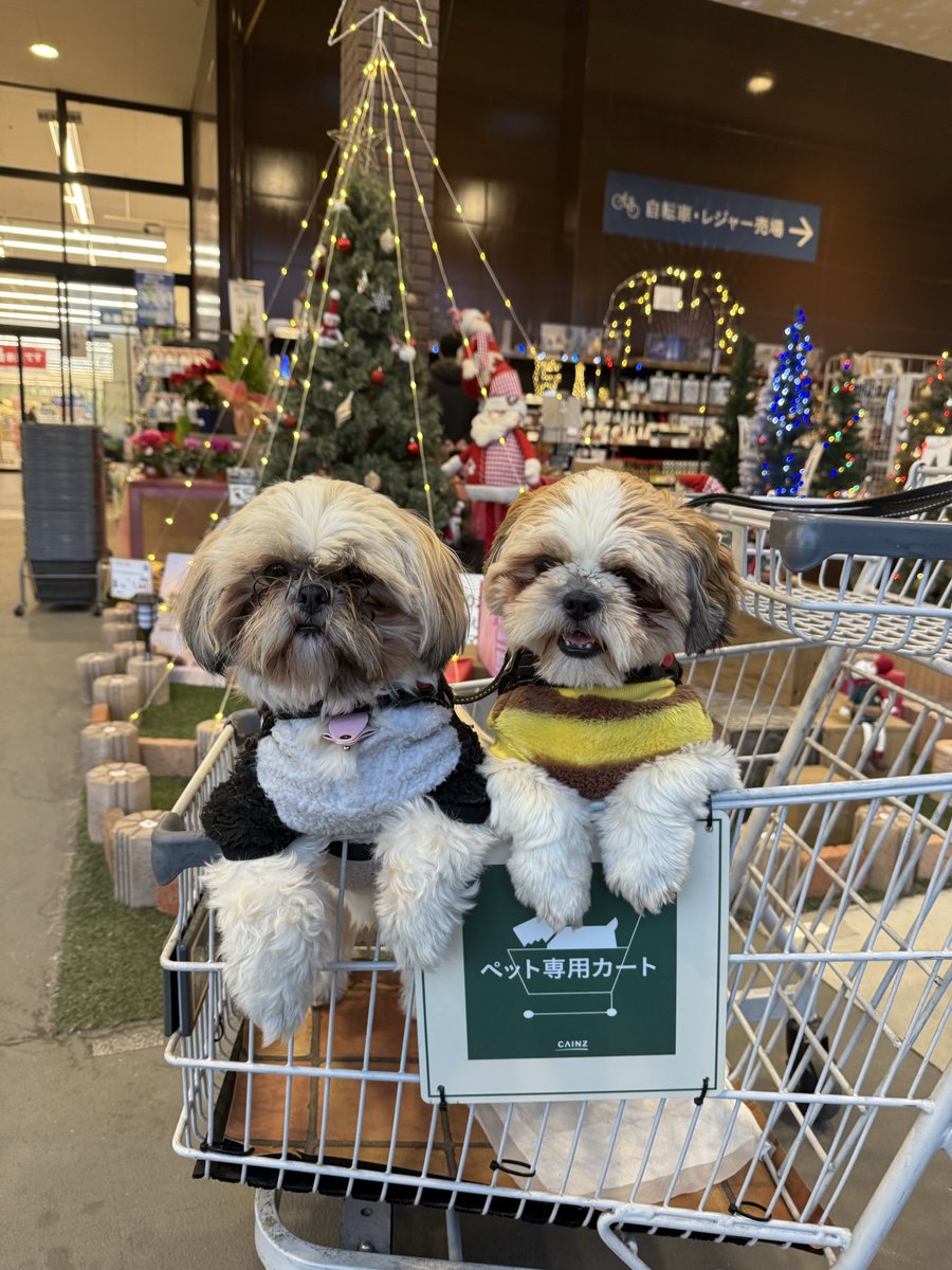 ツリーの前で🎄ニコニコ✨