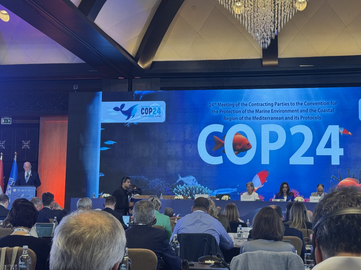 Global Ocean Trust tweet media