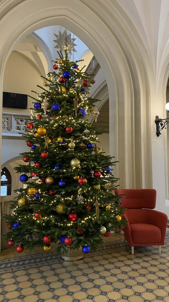 Collegium Novum z tegoroczną 🎄