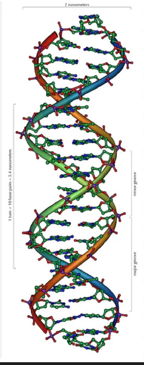 magicweaponn's tweet image. アンタイ出演者情報
[4人目]
下村祐実那さん

[所属]
名古屋大学奇術研究会

[演者より]
親しみを感じる形状ですね

第20回 Untitled Concert〜虹色の軌跡〜
12/20 コミ協ひがしなり区民センター　
17時30分開演　
大阪
マジックショー

予約はこちらから！

docs.google.com/forms/d/e/1FAI…