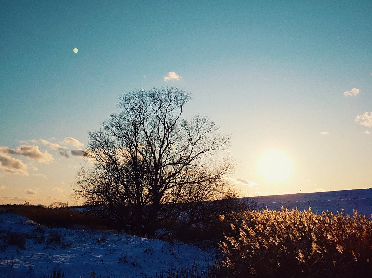 また釧路湿原に来ています。朝は雪風強く寒かった。明日は熊スプレー持って山だそうです。信じられん。
#streetphotography #xperia #xperiaproi #徳島 #スナップ写真