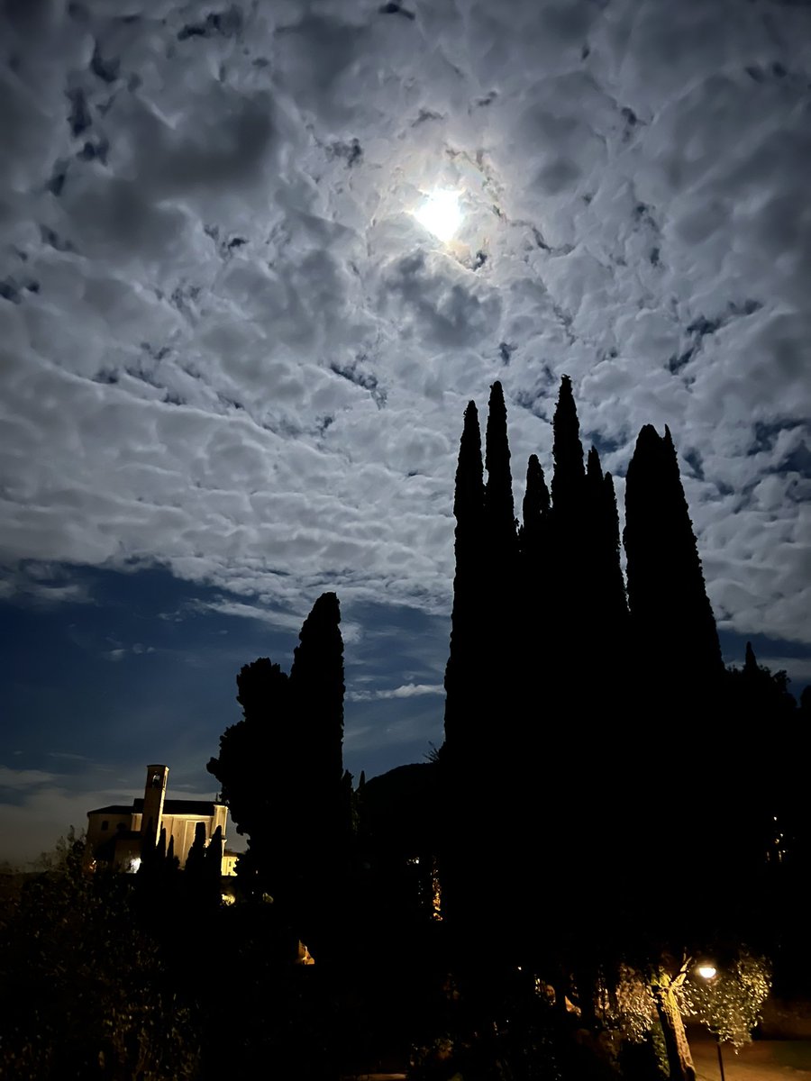 Stanotte ho sognato Van Gogh, e mi ha detto “Esci, fai una foto”