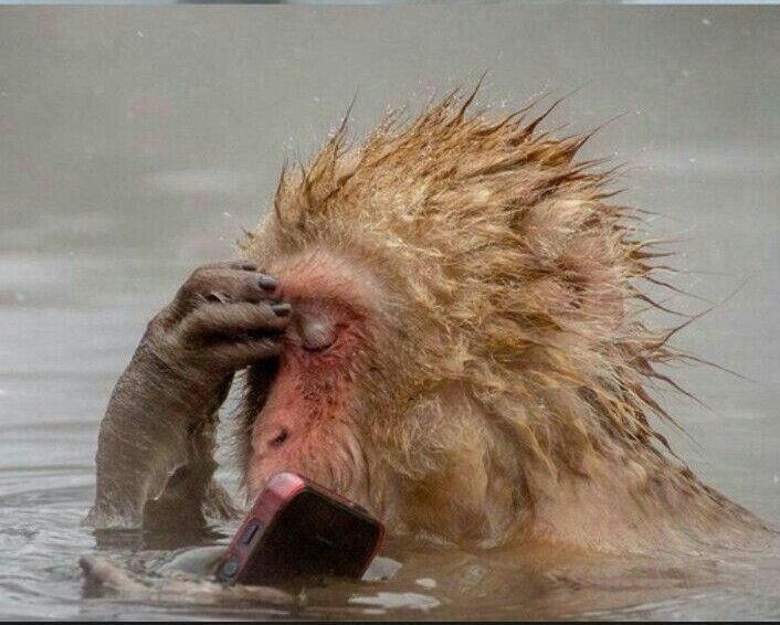 Be Clam.
Don’t follow too many at a time.
Don’t unfollow too. Make sure you don’t get restricted too many times if you want to keep your account safe.

Still active following back.
Just follow and I follow back.