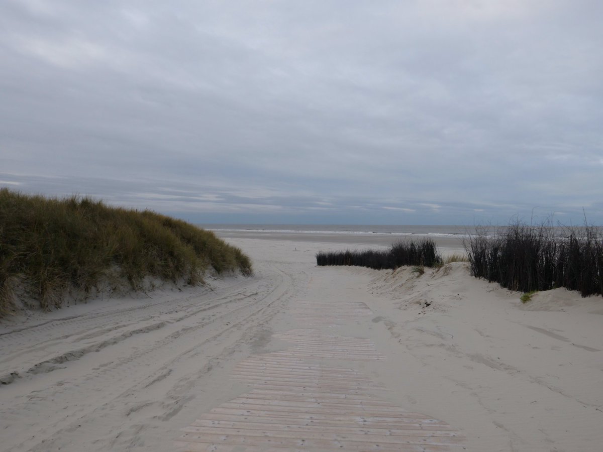 Herbst auf Spiekeroog 
Foto von <a href="/ChristineAuer2/">Christine R. Auer #nowar #diplomatie 🕊️🌿</a> 
Beitrag zur Followerparade "Herbstlandschaften" wirschum.de/followerparade/