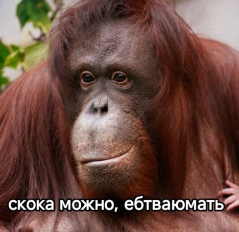 мойте жопу молоком (@falka20) on Twitter photo 