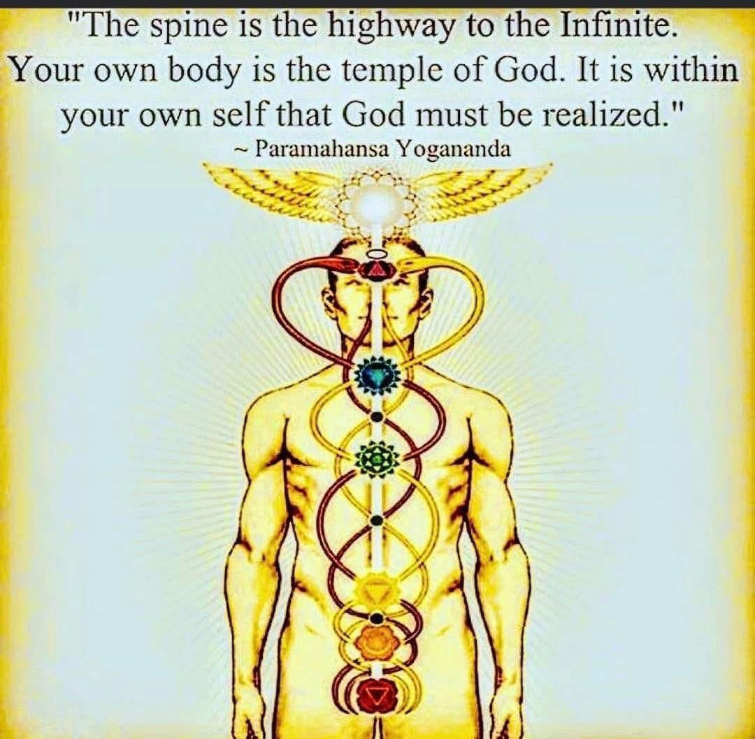 THE SPINE IS THE HIGHWAY TO INFINITY

Your spine is more than bone and marrow—it’s the pillar of consciousness. Ancient traditions called it the axis mundi, the world axis, because it connects heaven and earth within you. Each vertebra is like a rung on a ladder, and when