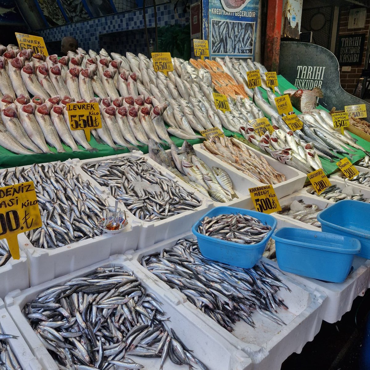 Üsküdar'da Balık satış noktalarındaki "Su ürünleri boy ve av yasaklarıyla" ilgili  denetimlerimiz devam etmektedir