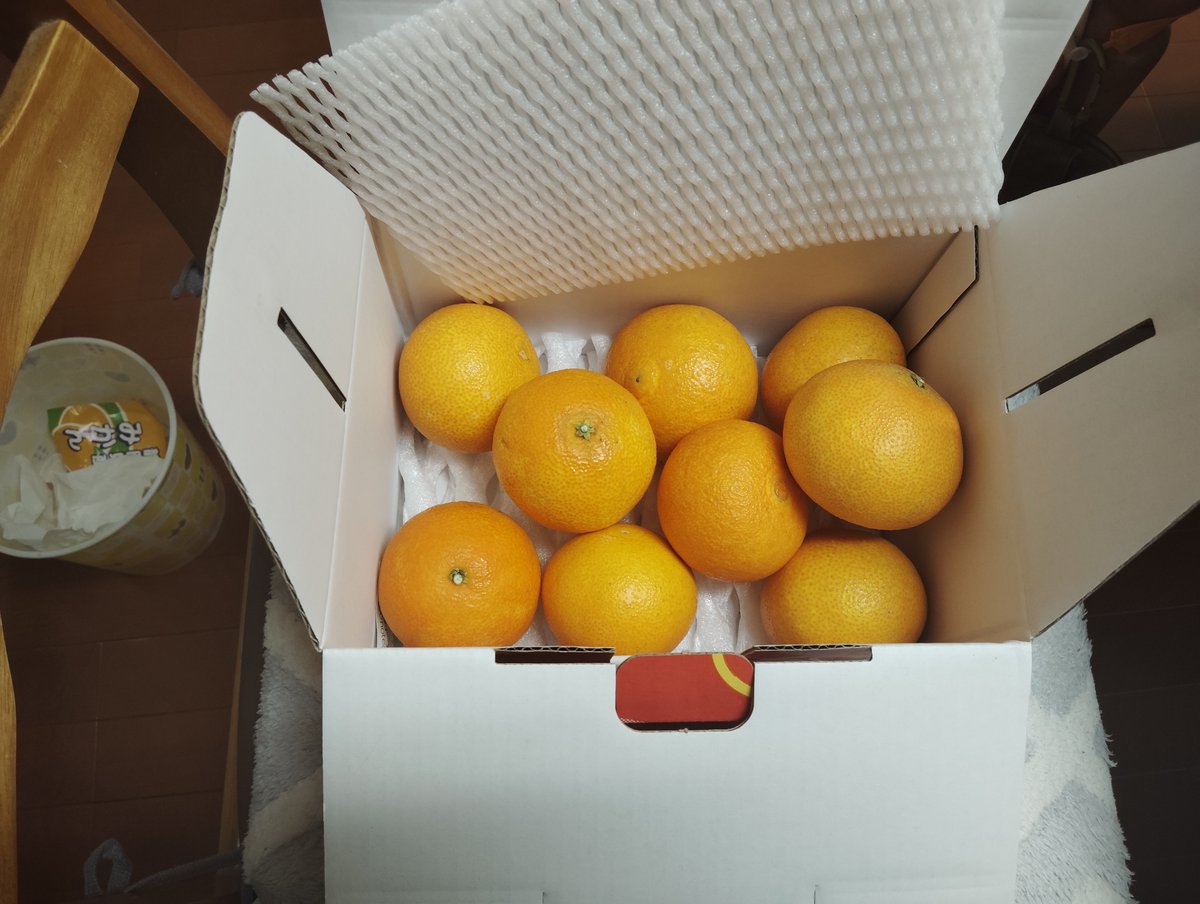 みかんのことなら「のま果樹園」 (@nomakajuen) / Posts / X