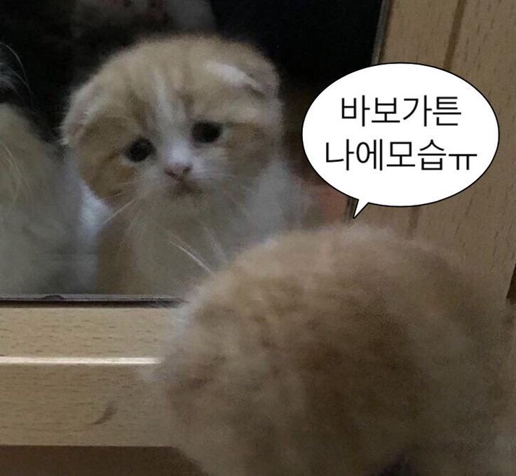 멸치였지만 몸이 이뻤던 시절.. 돌아가고픔