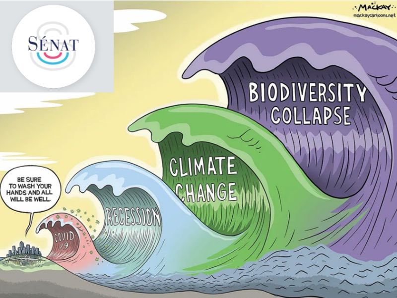 PostGrowthHack's tweet image. [R]évolution au Sénat💥
Un rapport de la délégation à la prospective propose de sortir le PIB du poste de pilotage, parle d’"insolvabilité planétaire", met la "santé du vivant" au centre de la valeur éco …les rapporteurs sont 3 sénateurs ancrés à droite !
senat.fr/rap/r25-010/r2…