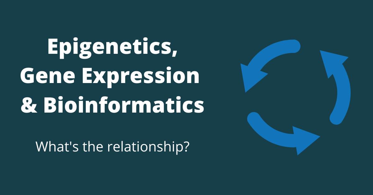fiosgenomics's tweet image. How do #epigenetics, gene expression and bioinformatics all relate to each other? 
 ⬇️For a quick overview, visit our blog! ⬇️
fiosgenomics.com/epigenetics-...
#geneexpression #bioinformatics #drugdevelopment