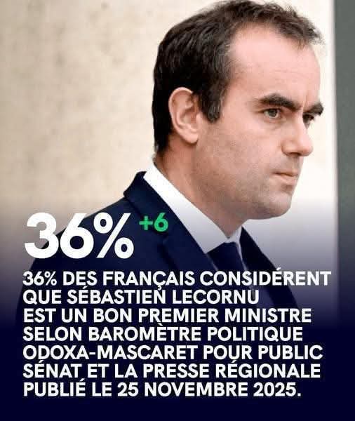 emily dumortier (@dumortieremily) on Twitter photo 