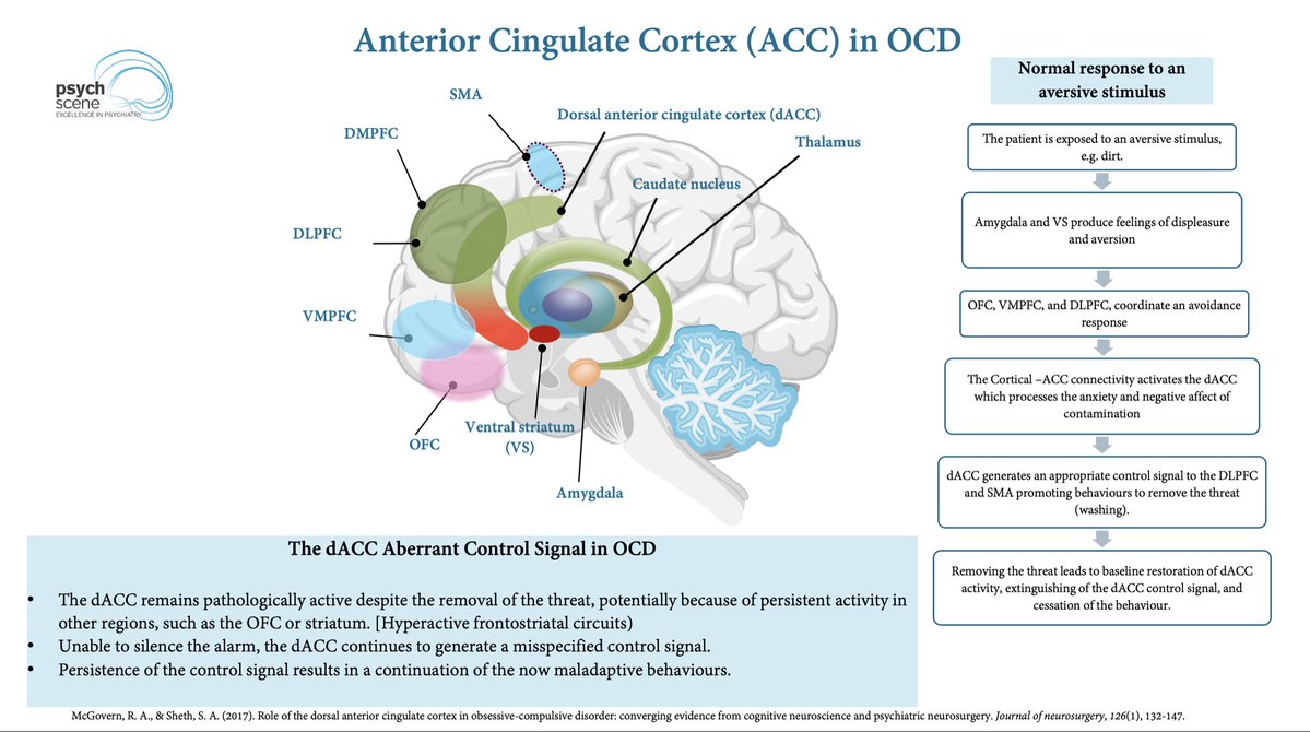 sanilrege's tweet image. It actually becomes clearer when we think neurobiologically. And thus writing both a formulation plus labels provides a better understanding. 

OCD, Tourette’s/tics and ADHD all sit on a spectrum of fronto-striato-limbic dysfunction, particularly within the…