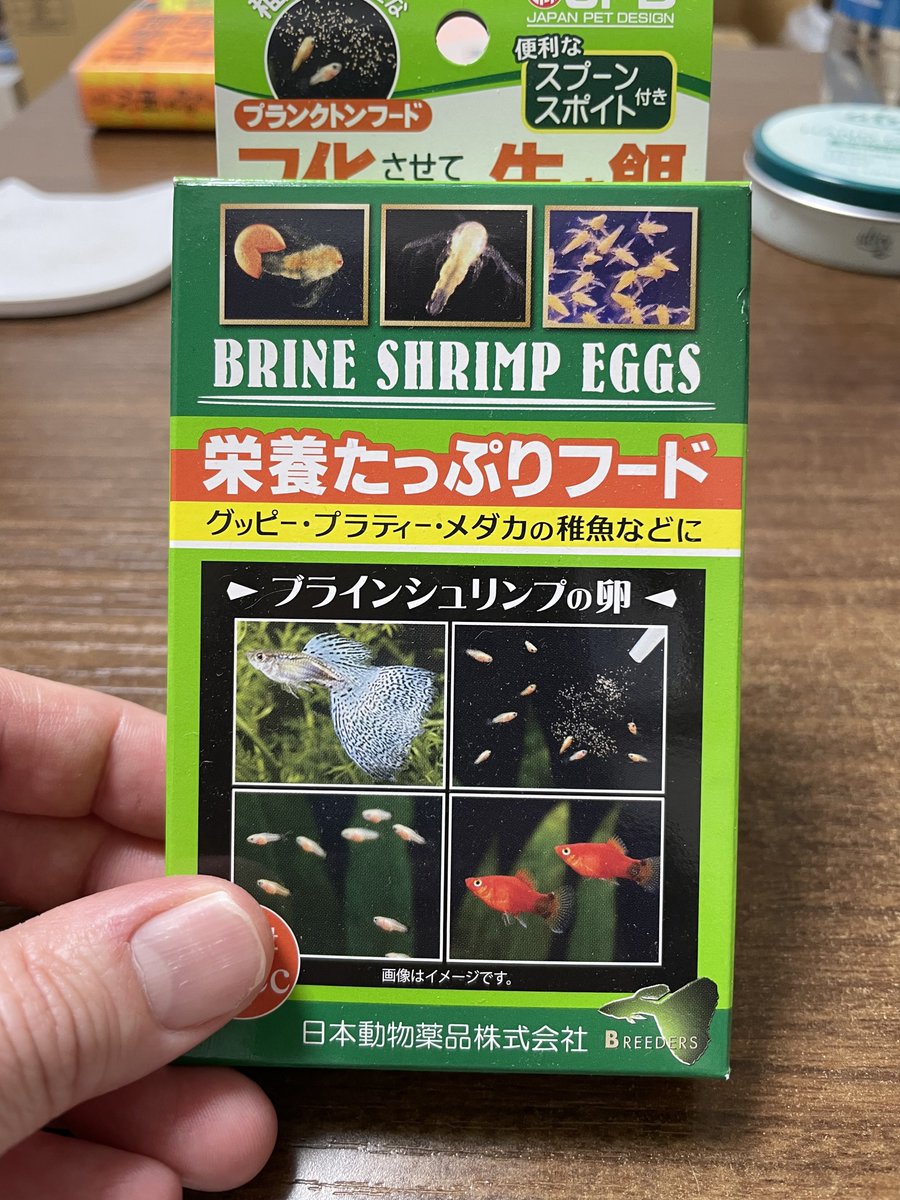 とみこの知る限りの海水水槽ある方に個別に聞いていますが、早い者勝ち