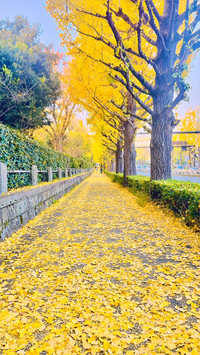 xlix's tweet photo. Walking is our oldest ritual of becoming human.

Kita-Aoyama, Tokyo https://t.co/zCubVSdZGT