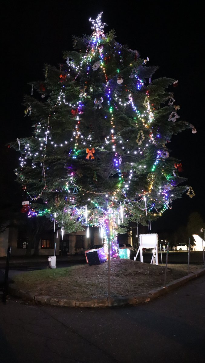 12月1日（月）、米軍主催のクリスマスツリー点灯式が行われました