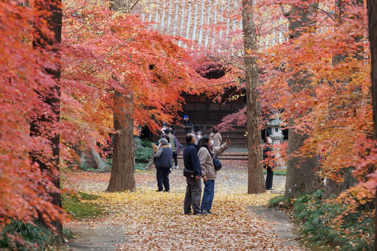 やまちゃんトルツメ (@yamayama0316) / Posts / X