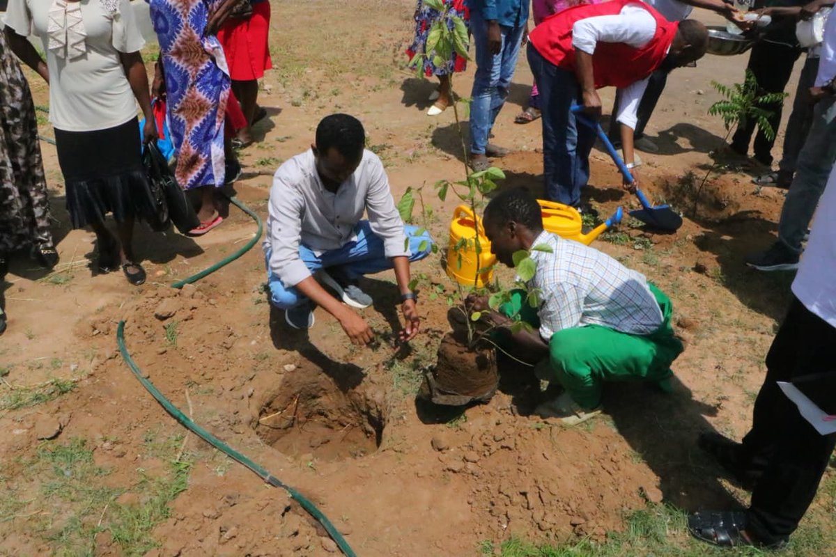 Women Education and Health For Development(WOHED) tweet media