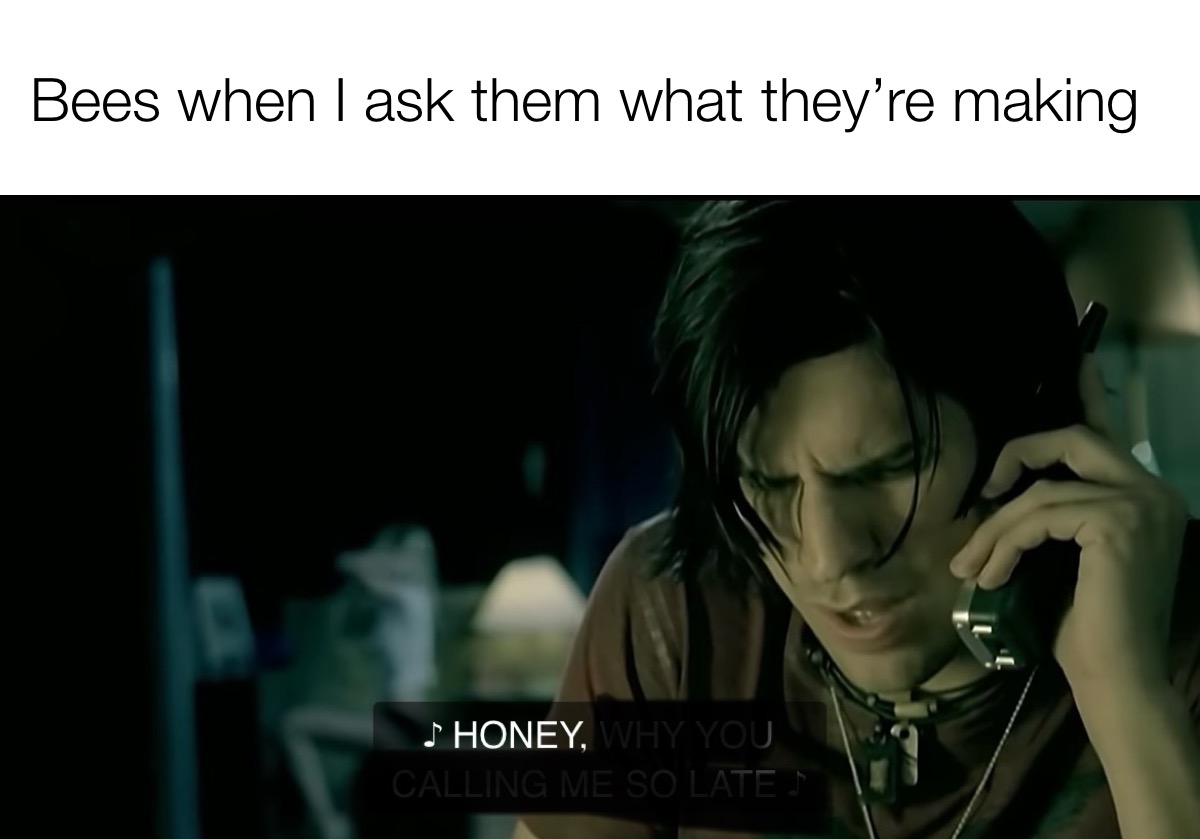 I can talk to bees btw