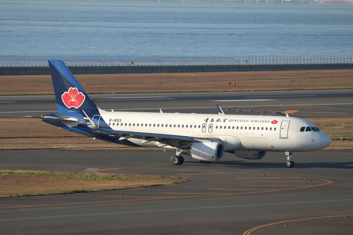 新規で乗り入れている青島航空、入ってから大分経ちますがやっと拝む