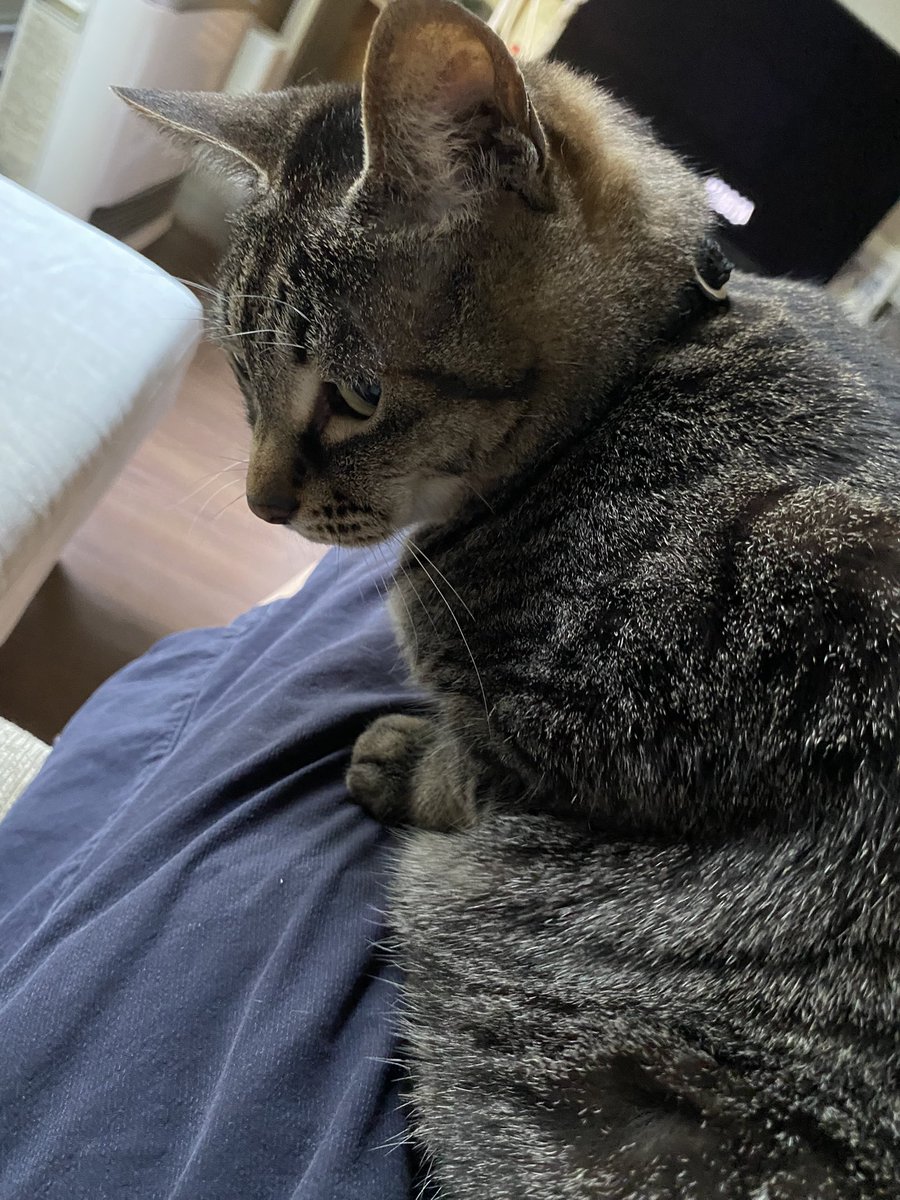 ああああ ああああ (@q07a_) / Posts / X