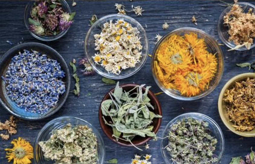 ufiorg's tweet photo. Urban Farming Institute: This Saturday Garden Clean Up @9am, Talk@10: Local plant dyes - Bring a 100% cotton shirt for our workshop! 1st CSA Pick up from 10am - 12pm. - https://t.co/HB1NF4MEPj https://t.co/gUwPOCWG48