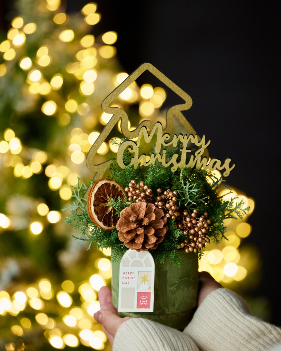 青山フラワーマーケット 天然素材 クリスマスツリー 青山フラワーマーケット 天然素材 クリスマスツリー 青山フラワー