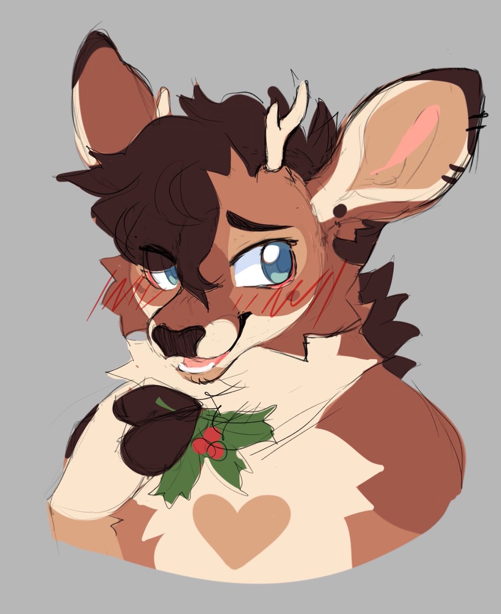 It’s the most wonderful time of the year 🎄❤️