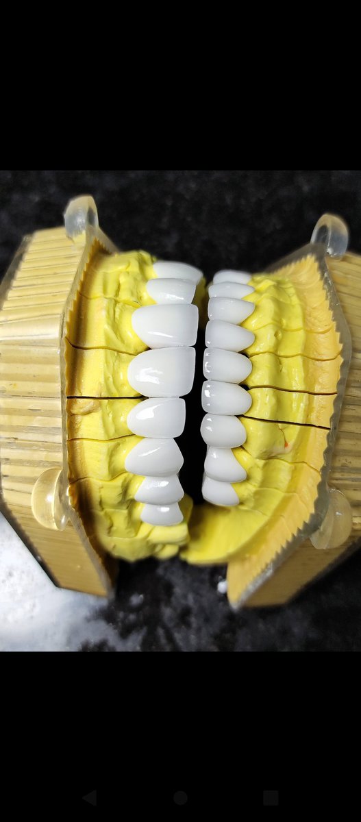 SunSmile_Lab's tweet image. Mỗi ngày tôi chọn một niềm vui
Chọn những bông hoa và những nụ cười 😅